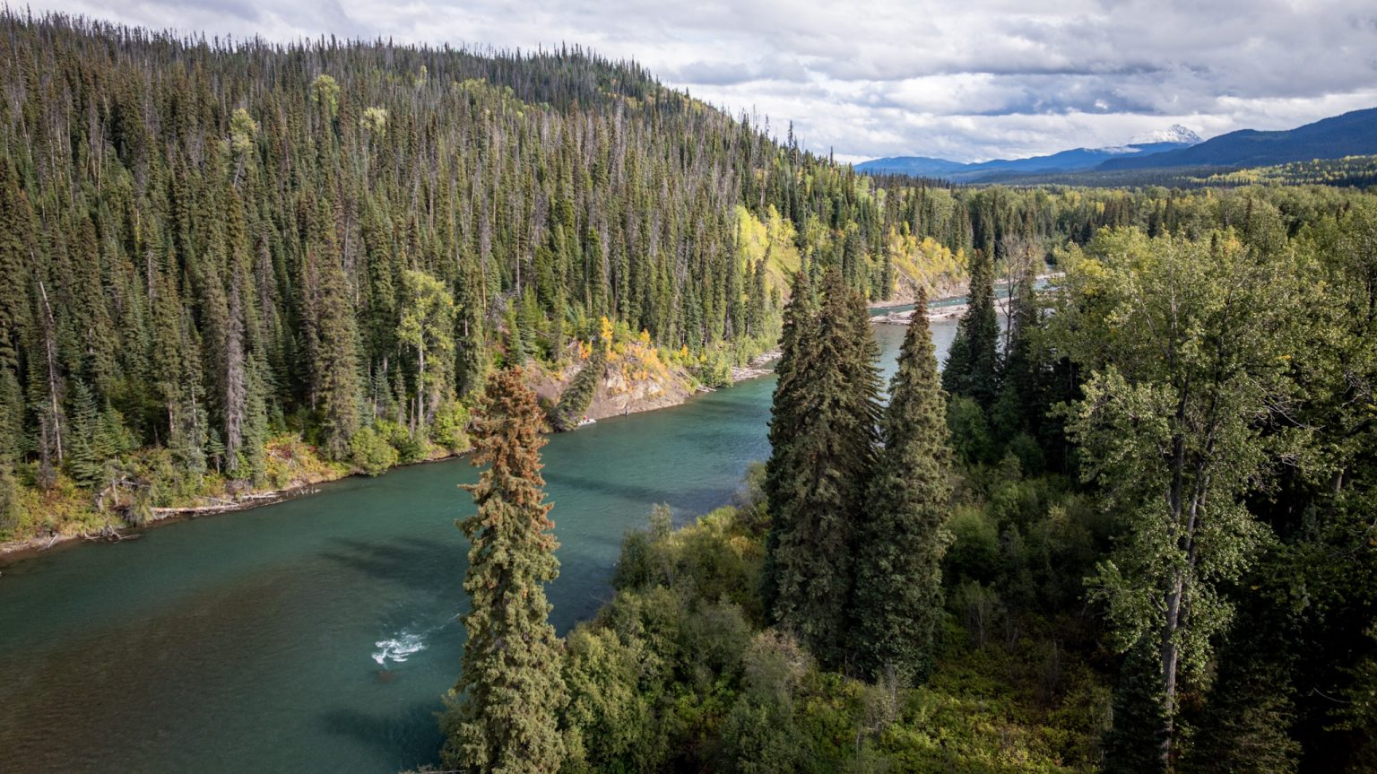Forfaits de pêche à la truite steelhead — Frontier Far West – Frontier Far West